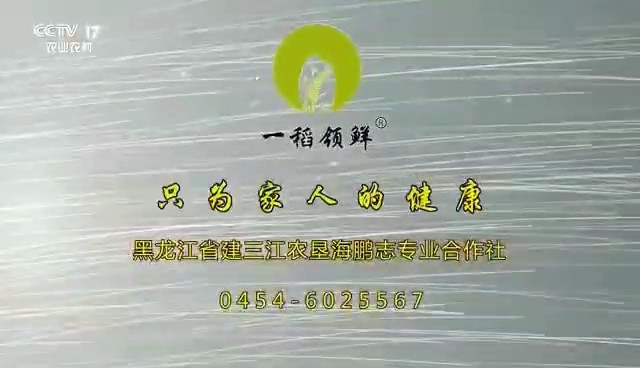 食品類央視廣告客戶-食品類——一(yī)稻領鮮有機大(dà)米CCTV-17_央視廣告片